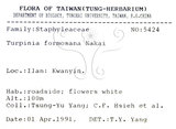 中文名：山香圓英文名：Formosam turpinia學名：Turpinia formosana Nakai