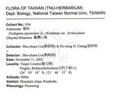 中文名：臺灣山菊學名：Farfugium japonicum (L.) Kitam. var. formosanum (Hayata) Kitamura