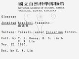 中文名：山素英英文名：Mountain Jasmine學名：Jasminum hemsleyi Yamamoto