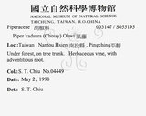 中文名：風藤英文名：Pepper學名：Piper kadsura (Choisy) Ohwi