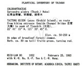 中文名：草珊瑚中文別名：紅果金粟蘭英文名：Glabrous Herbcoral學名：Sarcandra glabra (Thunb.) Nakai