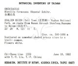 中文名：臺灣白及學名：Bletilla formosana (Hayata) Schltr