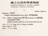 中文名：茜草樹英文名：Cochinchina Randia學名：Randia cochinchinensis (Lour.) Merr