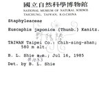 中文名：野鴉椿英文名：Japanese euscaphis學名：Euscaphis japonica (Thunb.) Kanitz