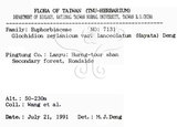 中文名：披針葉饅頭果英文名：Lanceolate-leaved Glochidion學名：Glochidion zeylanicum (Gaertn.) A. Juss. var. lanceolatum (Hayata) M. J. Deng & J. C. Wang