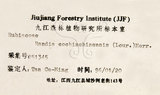 中文名：茜草樹英文名：Cochinchina Randia學名：Randia cochinchinensis (Lour.) Merr