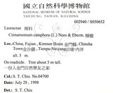 中文名：樟樹英文名：Camphor Tree學名：Cinnamomum camphora (L.) Presl