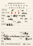 中文名：茜草樹英文名：Cochinchina Randia學名：Randia cochinchinensis (Lour.) Merr