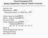 中文名：血桐英文名：Macaranga學名：Macaranga tanarius (L.) Muell.-Arg