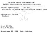 中文名：披針葉饅頭果英文名：Lanceolate-leaved Glochidion學名：Glochidion zeylanicum (Gaertn.) A. Juss. var. lanceolatum (Hayata) M. J. Deng & J. C. Wang