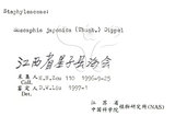 中文名：野鴉椿學名：Euscaphis japonica (Thunb.) Dippel