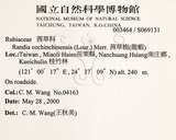 中文名：茜草樹英文名：Cochinchina Randia學名：Randia cochinchinensis (Lour.) Merr