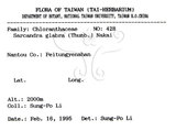 中文名：草珊瑚中文別名：紅果金粟蘭英文名：Glabrous Herbcoral學名：Sarcandra glabra (Thunb.) Nakai