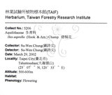 中文名：燈稱花中文別名：烏雞骨英文名：Rough-leaved holly學名：Ilex asprella (Hook. & Arn.) Champ