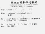 中文名：風藤英文名：Pepper學名：Piper kadsura (Choisy) Ohwi
