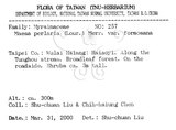 中文名：台灣山桂花英文名：Taiwan Maesa學名：Maesa perlaria (Lour.) Merr. var. formosana (Mez) Yuen P. Yang