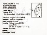 中文名：大頭茶英文名：Taiwan Gordonia學名：Gordonia axillaris (Roxb.) Dietr