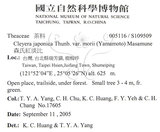 中文名：森氏紅淡比英文名：Mori cleyera學名：Cleyera japonica Thunb. var. morii (Yamamoto) Masamune
