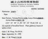 中文名：風藤英文名：Pepper學名：Piper kadsura (Choisy) Ohwi