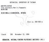 中文名：烏來冬青英文名：Urai holly學名：Ilex uraiensis Mori & Yamamoto