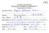 中文名：山香圓英文名：Formosam turpinia學名：Turpinia formosana Nakai