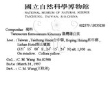 中文名：臺灣蒲公英英文名：Formosan dandelion學名：Taraxacum formosanum Kitam