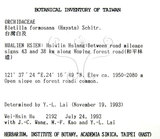 中文名：臺灣白及學名：Bletilla formosana (Hayata) Schltr