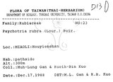 中文名：九節木中文別名：牛屎烏青龍吐霧英文名：Wild Coffee學名：Psychotria rubra (Lour.) Poir