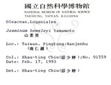 中文名：山素英英文名：Mountain Jasmine學名：Jasminum hemsleyi Yamamoto