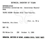 中文名：披針葉饅頭果英文名：Lanceolate-leaved Glochidion學名：Glochidion zeylanicum (Gaertn.) A. Juss. var. lanceolatum (Hayata) M. J. Deng & J. C. Wang