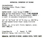 中文名：草珊瑚中文別名：紅果金粟蘭英文名：Glabrous Herbcoral學名：Sarcandra glabra (Thunb.) Nakai