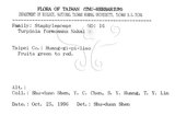 中文名：山香圓英文名：Formosam turpinia學名：Turpinia formosana Nakai