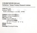 中文名：茜草樹英文名：Cochinchina Randia學名：Randia cochinchinensis (Lour.) Merr