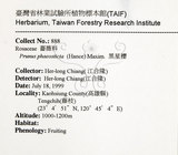 中文名：墨點櫻桃中文別名：黑星櫻英文名：Dark-spotted Cherry學名：Prunus phaeosticta (Hance) Maxim