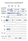 中文名：燈稱花中文別名：烏雞骨英文名：Rough-leaved holly學名：Ilex asprella (Hook. & Arn.) Champ