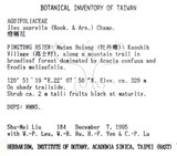 中文名：燈稱花中文別名：烏雞骨英文名：Rough-leaved holly學名：Ilex asprella (Hook. & Arn.) Champ