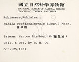 中文名：茜草樹英文名：Cochinchina Randia學名：Randia cochinchinensis (Lour.) Merr