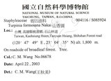 中文名：山香圓英文名：Formosam turpinia學名：Turpinia formosana Nakai