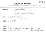 中文名：山香圓英文名：Formosam turpinia學名：Turpinia formosana Nakai