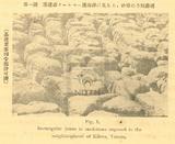 日文標題:基隆市ク-ルベ-濱海岸に見らろ、砂岩の方狀節理