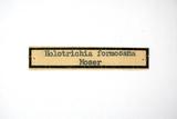 ǦW:Holotrichia formosana Moser, 1910
