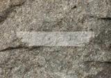 標題:變質石英質砂岩
