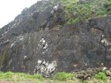 標本名稱:本山地質公園石英安山岩