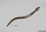 標本名稱:百步蛇木雕