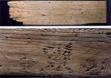 標本名稱:木雕屋板
