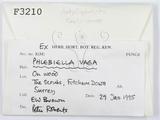 ǦW:Phlebiella vaga