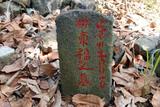 標題:林東福之墓