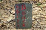標題:蘇藝林之墓