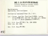 ǦW:Cortinarius semisanguineus