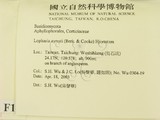 ǦW:Lopharia ayresii